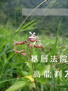 基層法院可以判無(wú)期嗎(基層法院最高能判25年嗎)