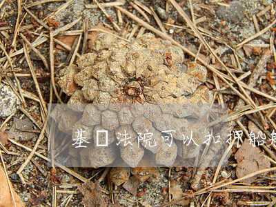 基層法院可以扣押船舶嗎(扣押船舶的程序)