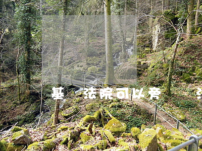基層法院可以旁聽嗎(法庭可以旁聽嗎)