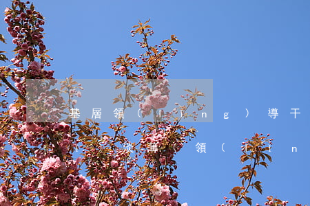 基層領(lǐng)導干部法律法規(guī)淡薄(領(lǐng)導干部在尊法學法守法用法等方面存在哪些差距和不足)