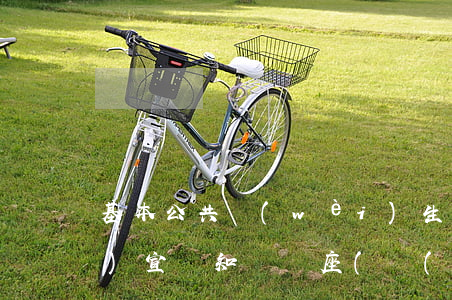 基本公共衛(wèi)生法律法規(guī)宣傳知識講座(衛(wèi)生法規(guī))