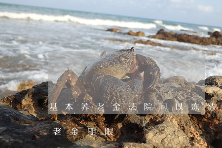 基本养老金法院可以冻结吗(法院强制冻结养老金期限)