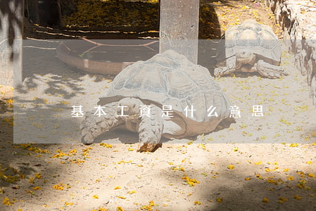 基本工資是什么意思