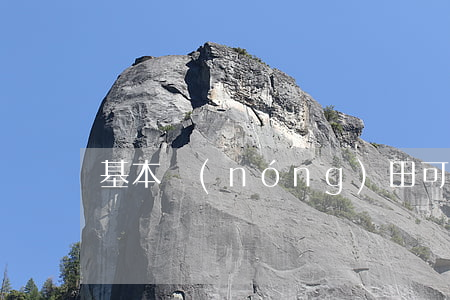 基本農(nóng)田可以征收嗎