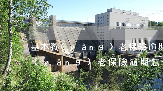 基本養(yǎng)老保險逾期繳費(職工養(yǎng)老保險逾期怎么辦)