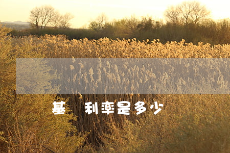 基準利率是多少
