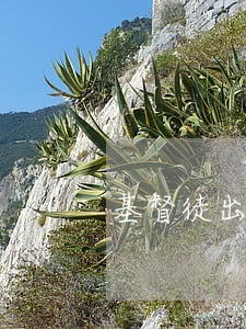 基督徒出轨可以离婚吗