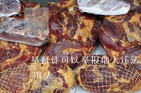 基督徒可以举报他人违法吗(基督徒可以起诉别人)