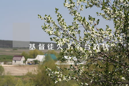 基督徒欠了平台的钱