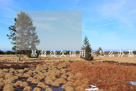 基督徒欠信用卡怎么办(基督徒能贷款吗)