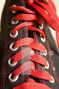 基金公司應(yīng)該控制投資風(fēng)險