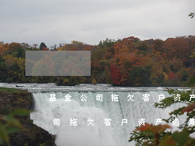 基金公司拖欠客户资产逾期怎么办-基金公司拖欠客户资产逾期怎么办理