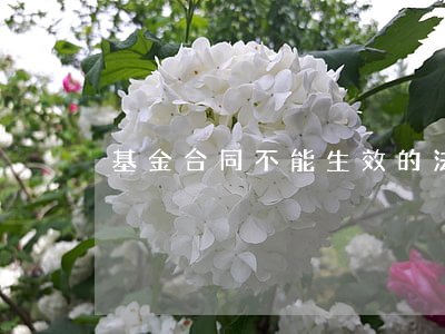 基金合同不能生效的法律后果有哪些