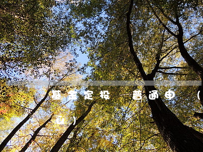 基金定投與普通申購(gòu)有何區(qū)別