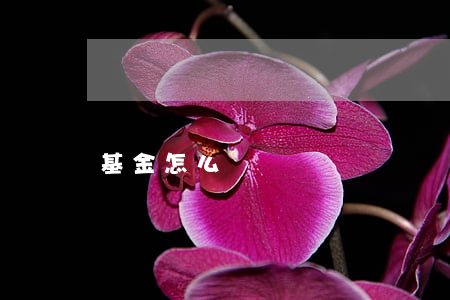 基金怎么賺錢