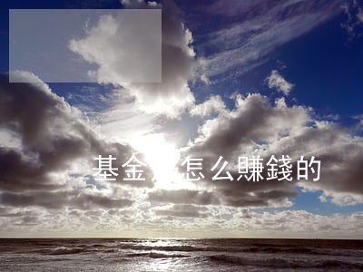 基金是怎么賺錢的