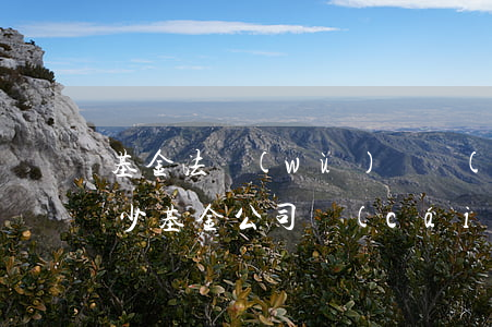 基金法務(wù)總監(jiān)年薪多少(基金公司財(cái)務(wù)總監(jiān)薪酬)