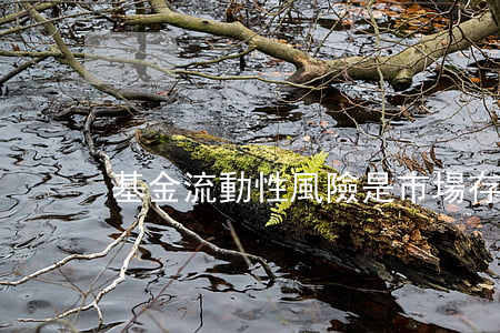 基金流動性風險是市場存在哪些隱憂