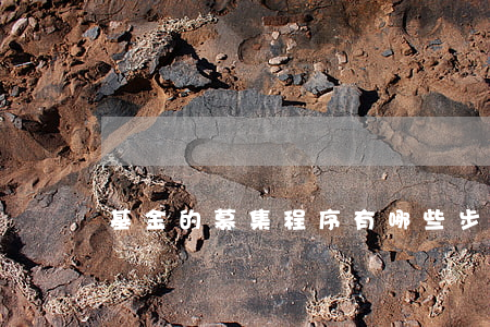 基金的募集程序有哪些步驟