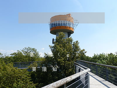基金購(gòu)買方法(基金購(gòu)買須知)