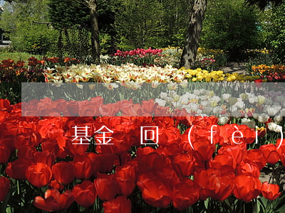 基金贖回費(fèi)率怎么算