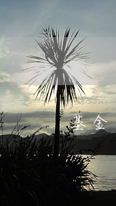 基金贖回費率怎么算