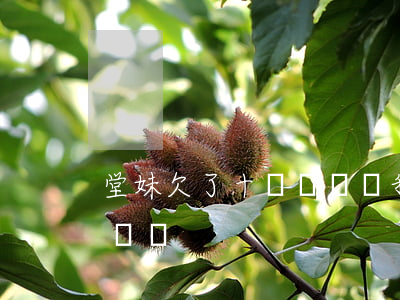 堂妹欠了十幾萬網貸(我妹給我說她欠了很多網貸)