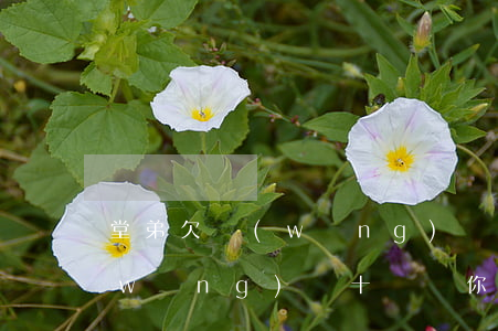 堂弟欠網(wǎng)貸十幾萬(堂弟欠網(wǎng)貸十幾萬,你會幫他還嗎)