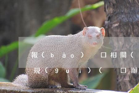 報(bào)戶口相關(guān)法律法規(guī)(戶口辦理法律規(guī)定有哪些要求)