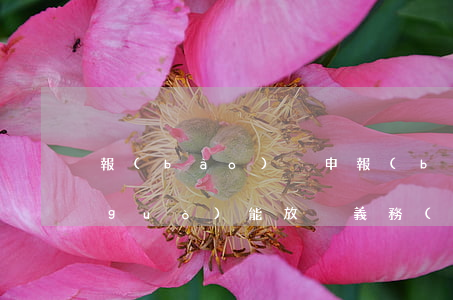 報(bào)稅申報(bào)逾期一過(guò)能放棄義務(wù)嗎-報(bào)稅逾期申報(bào)流程