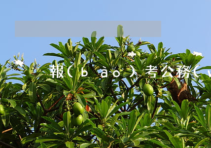 報(bào)考公務(wù)員條件