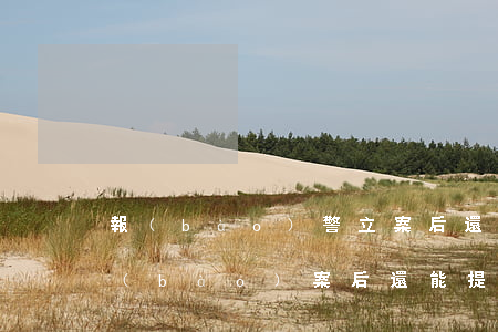 報(bào)警立案后還可以法院起訴嗎(報(bào)案后還能提起民事訴訟嗎)