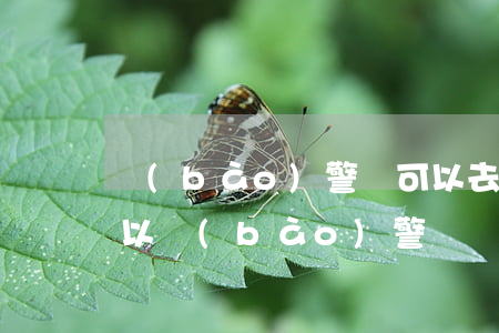 報(bào)警還可以去訴訟嗎(租房糾紛可以報(bào)警嗎)