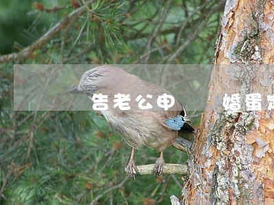 報告老公 申請離婚蛋定姐