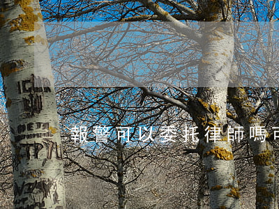 報警可以委托律師嗎?(可以請律師告警察嗎)