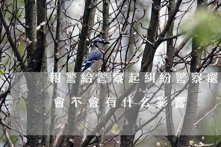 報警給警察起糾紛警察還會處理嗎(糾紛報警會不會有什么影響)