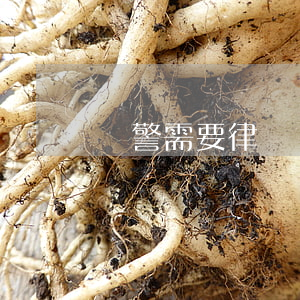 報警需要律師嗎(報案需要律師嗎)