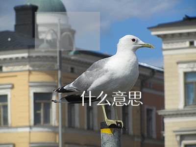 報銷什么意思