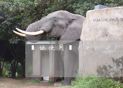 場地使用協(xié)議書