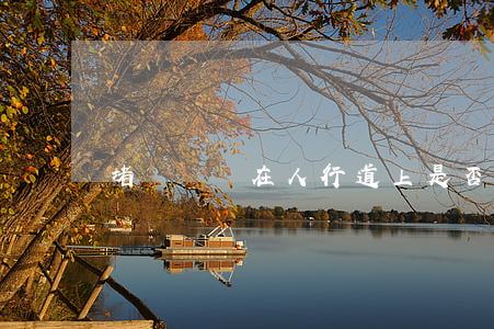 堵車紅燈在人行道上是否會受到處罰