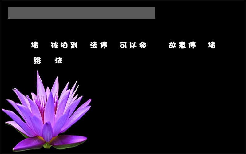 堵車被拍到違法停車可以撤銷嗎(故意停車堵路違法嗎)