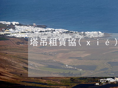 塔吊租賃協(xié)議書(shū)