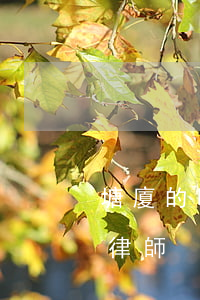 塘廈的哪個(gè)律師所最好(廈門最好的律師)