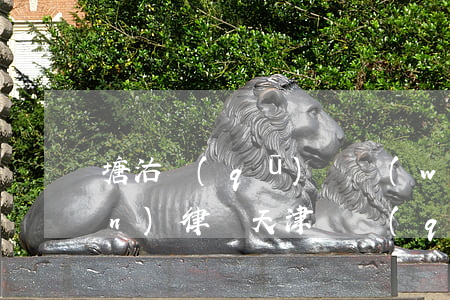 塘沽區(qū)債務(wù)債權(quán)律師 天津債權(quán)律師