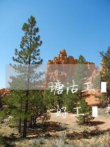 塘沽工傷律師事務(wù)所哪個(gè)好(工傷律師事務(wù)所哪家好)