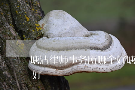 塘沽律师事务所哪个好(塘沽哪家律师事务所好)