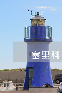 塞里科和卡卡離婚了嗎(卡卡離婚的真相)