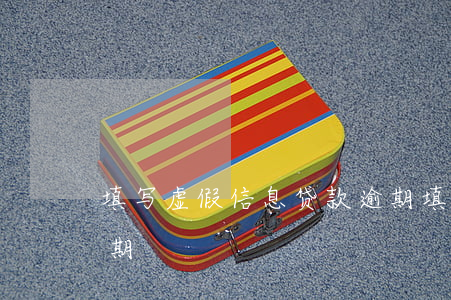 填写虚假信息贷款逾期(填写虚假信息贷款逾期)
