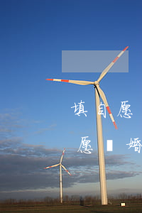 填自愿離婚協(xié)議書注意什么(填自愿離婚協(xié)議書注意什么)