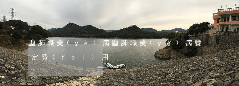 塵肺職業(yè)病(塵肺職業(yè)病鑒定費(fèi)用)